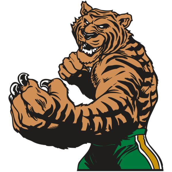 AR TIGER 64 RC Thumbnail